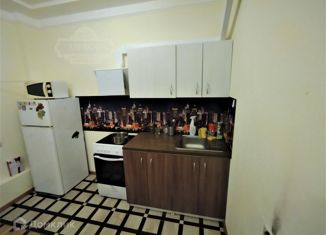 Продаю квартиру студию, 25.07 м2, Санкт-Петербург, ЖК Каменка, проспект Королёва, 71к1