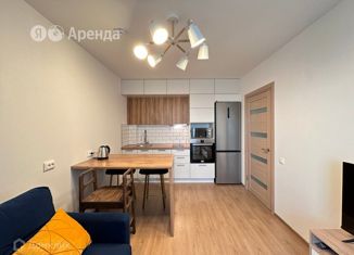 Аренда 1-ком. квартиры, 31 м2, Санкт-Петербург, набережная Чёрной речки, 3к2, метро Петроградская