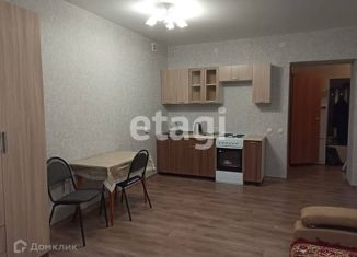 Сдам в аренду квартиру студию, 30 м2, Красноярск, Соколовская улица, 60, жилой район Солнечный