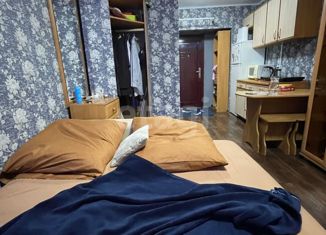 Продаю квартиру студию, 19 м2, Благовещенск, Трудовая улица, 11