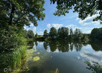 Земельный участок на продажу, 31 сот., село Новокулево, улица Нуриманова