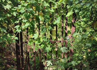 Продажа участка, 4 сот., Саратов, Волжский район, Театральная площадь