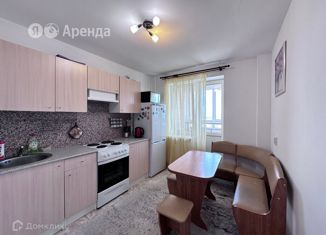 Аренда однокомнатной квартиры, 33 м2, Санкт-Петербург, Полевая Сабировская улица, 47к1