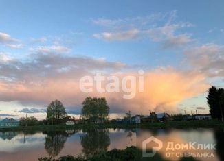 Продажа земельного участка, 22 сот., село Ельтесуново, улица Победы