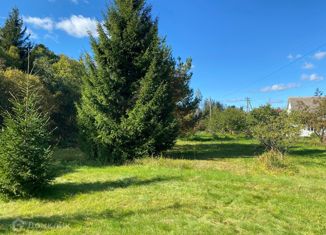 Продаю участок, 25 сот., деревня Каменка, деревня Каменка, 8