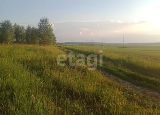 Участок на продажу, 990 сот., деревня Бураково