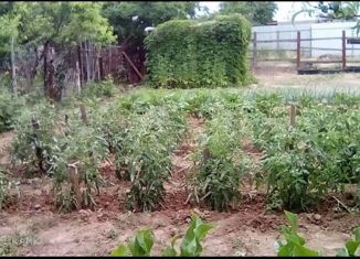 Продам земельный участок, 6.2 сот., СТ Холодок, СТ Холодок, 150