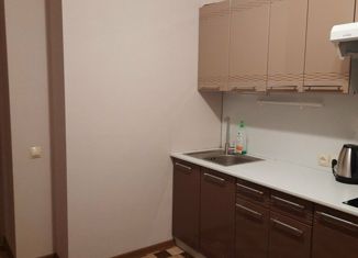 Сдаю 1-ком. квартиру, 31 м2, посёлок Колосистый, Гвардейская улица, 8