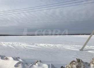 Продается земельный участок, 1900 сот., село Беркут