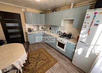 Продается дом, 90 м2, деревня Перелески, Новая улица, 15