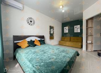 Сдается 1-ком. квартира, 28.6 м2, Ставрополь, улица Тухачевского, 25, микрорайон Перспективный