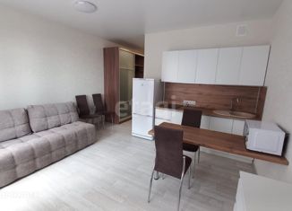 Сдам в аренду квартиру студию, 27 м2, Новосибирск, улица Дуси Ковальчук, 238, метро Гагаринская