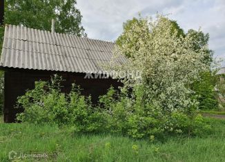 Продается дом, 43 м2, село Березовка