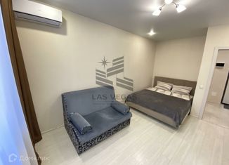 Сдается 1-ком. квартира, 40 м2, Казань, улица Родины, 24Г