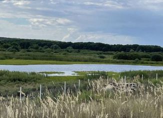 Продается участок, 35 сот., село Нелжа, улица Свободы