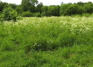 Продается земельный участок, 13 сот., деревня Чирково, Центральная улица