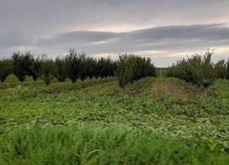 Земельный участок на продажу, 1000 сот., село Аргудан