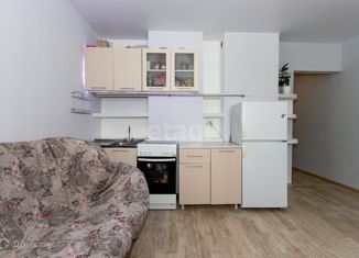 Продается квартира студия, 33 м2, Новосибирск, улица В. Высоцкого, 41/4, молодёжный ЖК Восточный