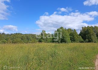 Продам участок, 35 сот., село Спас, Колхозная улица, 18