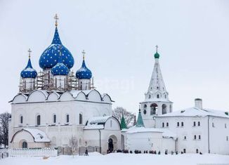 Продажа участка, 10.3 сот., Суздаль, улица Владимира Снегирёва, 8