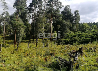 Продажа участка, 9 сот., село Чепош, улица Кучияк