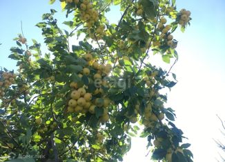 Продажа дома, 55 м2, садовые участки Березка-3