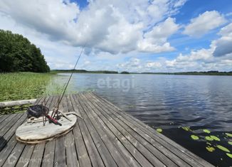 Продам земельный участок, 320 сот., деревня Зуево