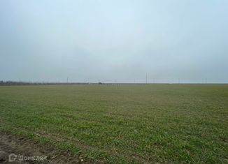 Продается земельный участок, 187 сот., Старотитаровское сельское поселение