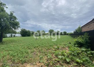 Продается земельный участок, 33 сот., село Гойское