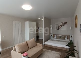 Продается квартира студия, 30.8 м2, Екатеринбург, метро Уральская, улица Челюскинцев, 19