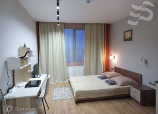 Аренда квартиры студии, 25 м2, Санкт-Петербург, дорога на Турухтанные Острова, 5к1, муниципальный округ Автово