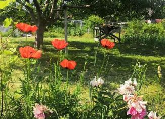 Продаю дом, 50.7 м2, СНТ Береговое