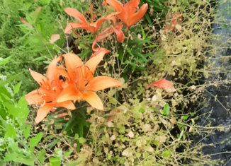 Продаю дом, 30 м2, Нижневартовск