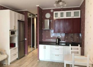 Сдача в аренду квартиры студии, 26.5 м2, Мурино, Скандинавский проезд, 4к1, ЖК Эланд