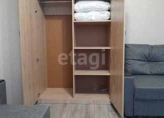 Сдается в аренду квартира студия, 35 м2, Ростов-на-Дону, Элеваторный переулок, 10, ЖК Военвед-Сити