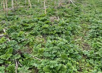 Продается участок, 11.05 сот., деревня Парчим