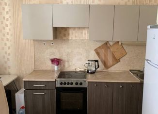 Продается квартира студия, 26 м2, Владимир, Северная улица, 55, Октябрьский район