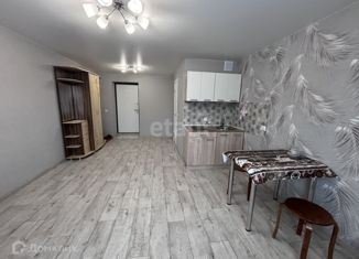 Сдам в аренду квартиру студию, 23 м2, Кохма, улица Кочетовой, 61