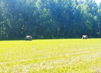 Продаю участок, 10 сот., деревня Белугино, деревня Белугино, 16