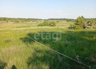 Участок на продажу, 13 сот., поселок Гусевка