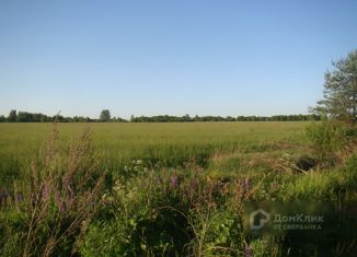 Продается участок, 350 сот., деревня Рясницыно