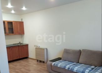 Сдаю в аренду квартиру студию, 29.5 м2, Новосибирск, улица Ломоносова, 61, улица Ломоносова