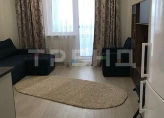 Продам квартиру студию, 25.6 м2, Пушкин, Камероновская улица, 12с3