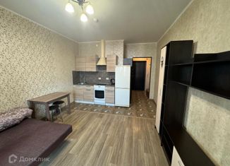 Продаю квартиру студию, 25.5 м2, посёлок Шушары, Вишерская улица, 2