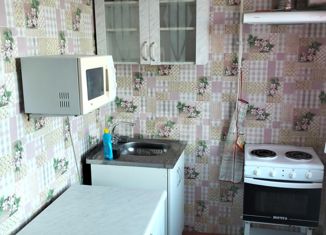 2-ком. квартира на продажу, 41.4 м2, село Новая Заимка, Авторемонтная улица, 4