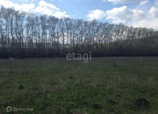 Продается участок, 21.4 сот., поселок Красный Богатырь, Берёзовая улица, 62