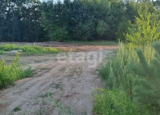 Продам земельный участок, 15 сот., село Чигири, Центральная улица, 6А