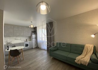 Аренда 2-комнатной квартиры, 46 м2, Новосибирск, улица Дмитрия Шамшурина, 29, метро Красный проспект