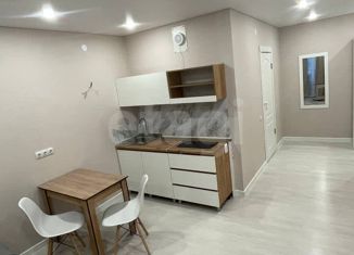 Сдаю в аренду квартиру студию, 28 м2, Тюмень, улица Василия Малкова, 12