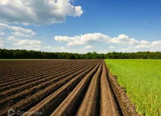 Продаю участок, 380 сот., хутор Чёрный, улица Свободы, 9